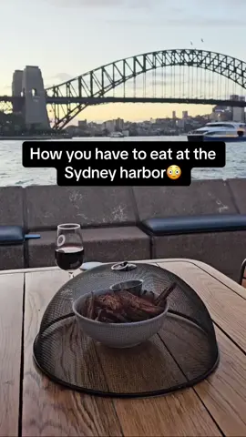 I would not have the patience for this😳 #Pubity (IG: alecandeveontour )
