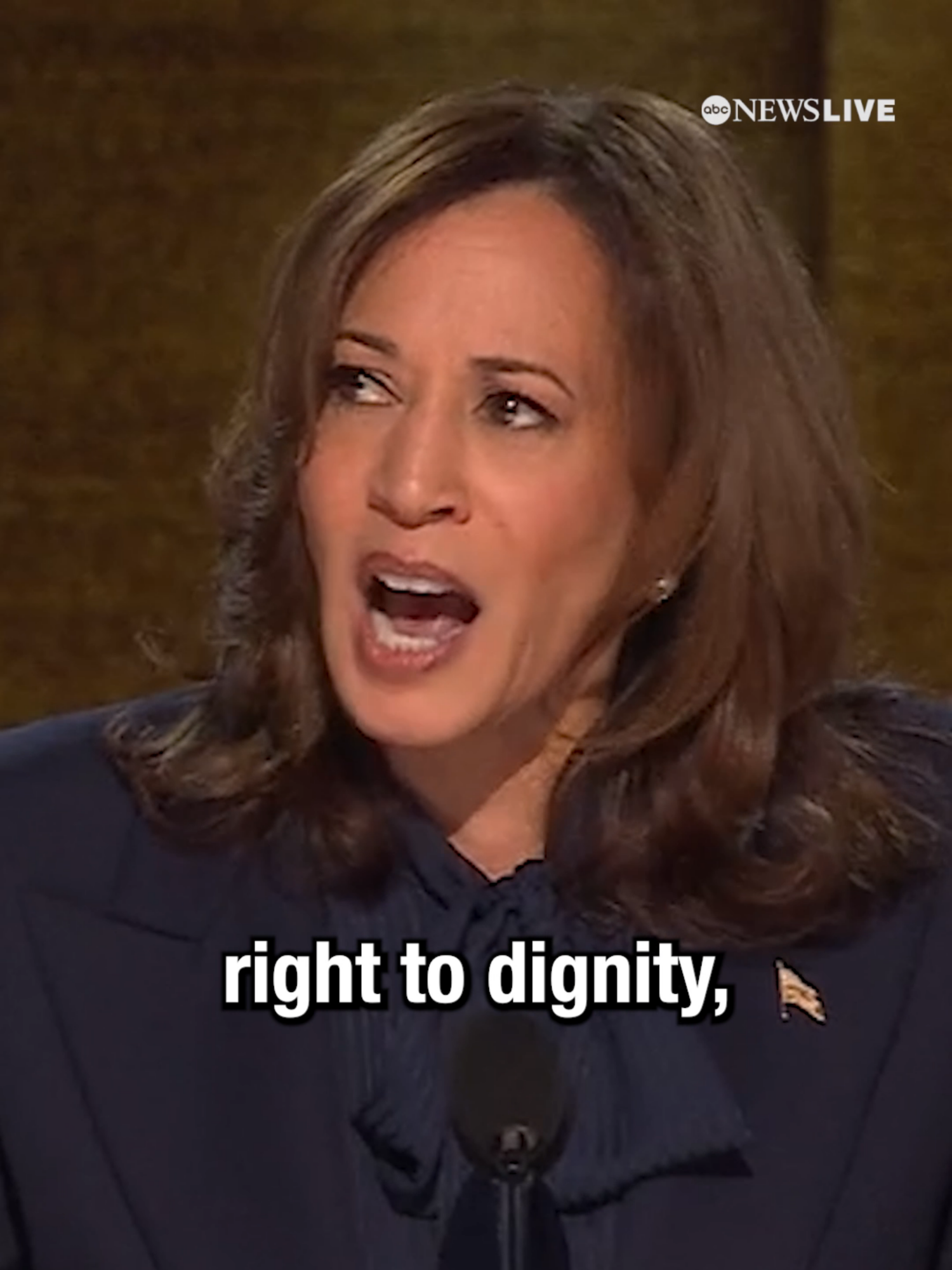 Kamala Harris addressed the ongoing war in the Middle East: 