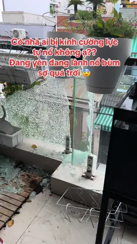Có nhà ai kính cường lực tự nổ như này ko ạ?? Nhà em mới bị sợ quá luôn 😨😨😨 #kinhcuongluc  #kinhcuongluctuno 