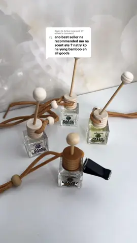 Replying to @Active now and 99 others my favorite scents! Hindi masakit sa ilong at hindi matapang #hangingdiffuser #airfragrance #roomfragrance #cardiffuser #fyp #foryou 
