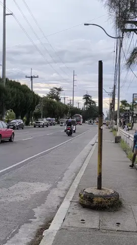 Del Monte's cutie little bedbug #fyp #foryou #foryoupage #bus #buses #busesinthephilippines #busenthusiast #busspotting #busride #busvlog #Vlog #ride #yutong #delmonte #dltbco #cavite #tagaytay #galanibuboy #sendreybusspotting 