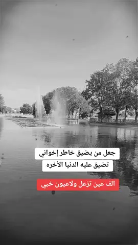 #اللهم لاترد لأخواني دعاء ولا تخيب لهم رجاء اللهم أروي أعينهم بفرح الحياة وأجعل لهم من خيرك أوفر الحظ والنصيب اللهم أسعدهم وأستجيب لهم كل دعاء اللهم حقق لهم كل ما يتمنوه اللهم إني استودعتك أخواني فأحفظهم وأبعد عنهم كل ما يؤذيهم..🤍🤍