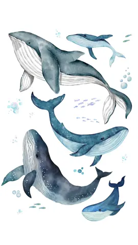 Whale Wall Print - Sea Life - Ocean Theme - Wall Decor Digital & Physical Prints Available (Free UK Delivery) Follow us on Instagram @jaxsroom Link in bio to Etsy store. #nurseryinspo #nurserydecor #wallart #boysroom #girlsroom #digitalprint #toddlerroom #walldecor #wallprints #smallbusinessuk #mumsoftiktok #oceantheme #whales #babygift #babyshower #kidsroom #playroominspo #manchesterbusiness #jaxsroom 
