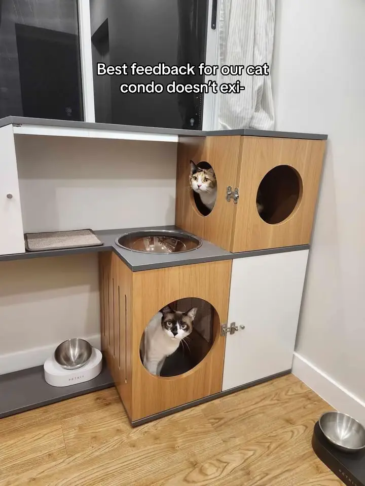 @The Pet Project When the best feedback on our cat condo leaves us completely speechless and flattered 🍑😆 #thepetprojectph #petfurniture #petfriendlyfurniture #petph #catph #catcondo #puspin 