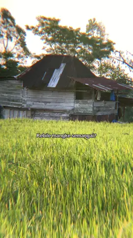 Kalu kele #pagaralam #jemekitegale #lahat #sumateraselatan #xyzbca #fy 