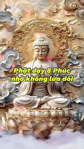 Phạt dạy: 8 Phúc nhờ không lừa dối. #phatphapnhiemmau #adidaphat #loiphatday #phatdaydieuhay #phatphap #phatgiao 