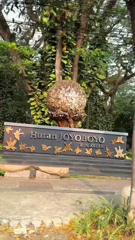 Jalan2 sore di hutan kota. ☺️ Nikmatin sunset 🌤️ ⋆ ⋆ #hutanjoyoboyokediri #hutankota #ruangterbukahijau  #thehappybolangs #inkediri #anakalam #naturelovers #penghijauan #kediri #fyp 