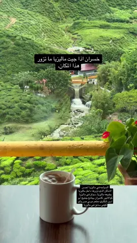 #ماليزيا🇲🇾 #السوق_الصيني #شارع_العرب #مطعم_عربي #ساىق_خاص #السياحةفي_ماليزي #سواق #ماليزيا_جزيرة_لنكاوي🤎🔥🇲🇾 #عشوائيات #اكسبلورر #مبتعثين_ماليزيا🇲🇾 #كاميران #سلانجور #kualalumpur #bukitbintang #pavilionkl #visitkualalumpur #arabtravels #tiktokarab 