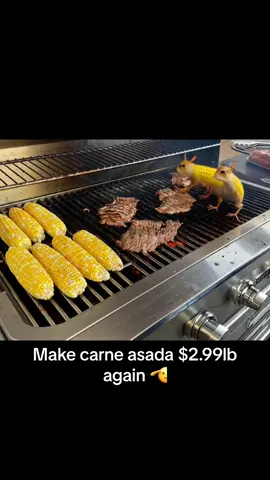We need an America where carne asada is affordable again 😔 who is grilling this weekend? #creatorsearchinsights #JustLivingMyBestLife #ImInLoveAndImObsessed #fypシ゚viral #fypage #olivermade #carneasada #carne #asado 