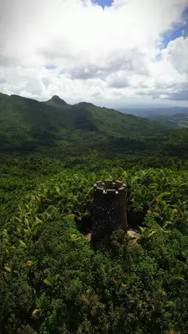 Mount Britton, El Yunque🇵🇷⛰️  Por el momento El Yunque se encuentra cerrado al publico por el paso de Ernesto⛔️🌀 #puertorico #elyunque #aventura #naturaleza #montaña 