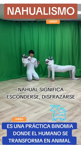 #nahual #nahualsmo #mexico #tecnica #mesosmerica #disfrazar #? 