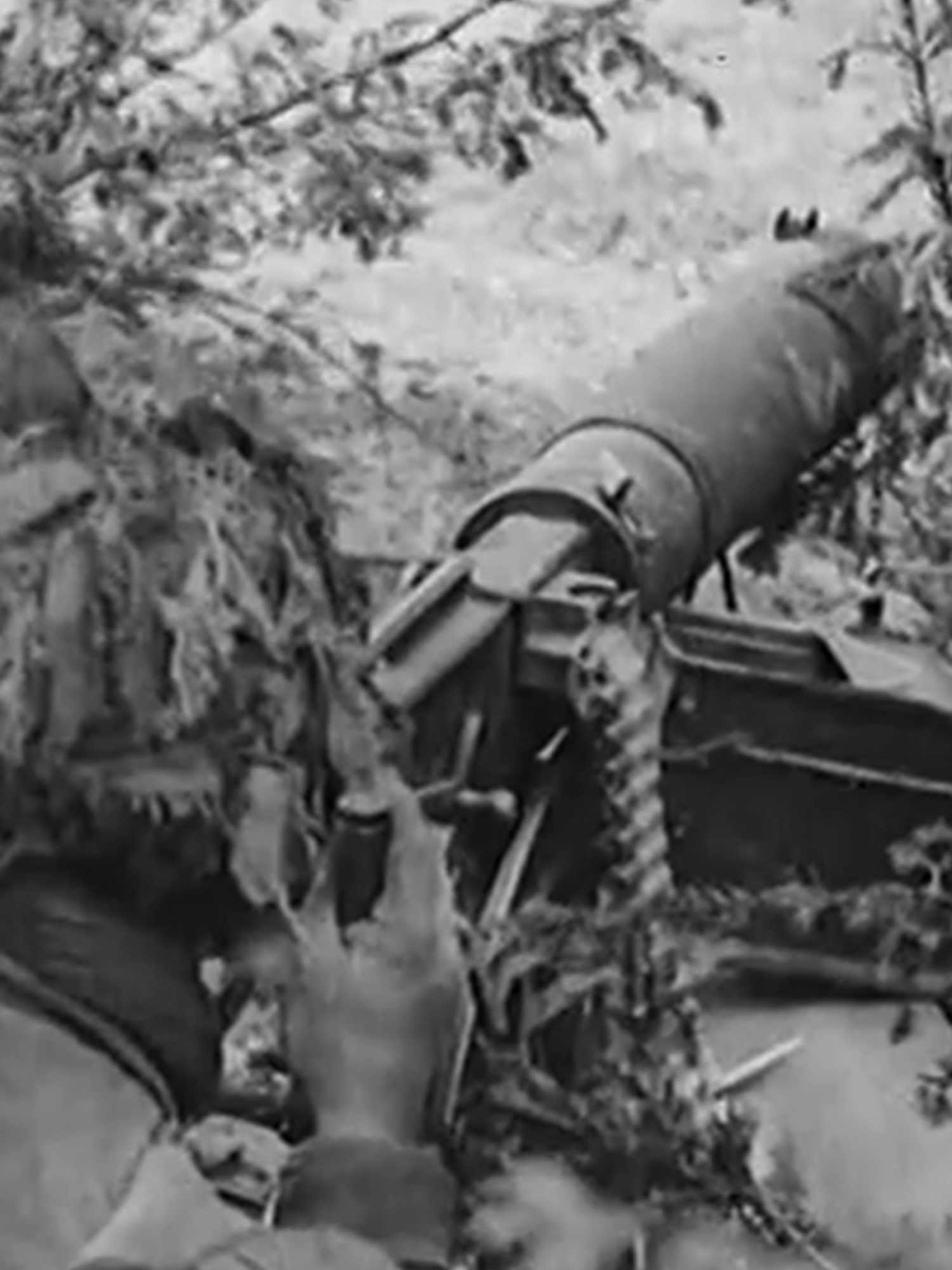 The Man Who Took Out an Armored Vehicle With an Umbrella #military #history #militaryhistory #army #ww2