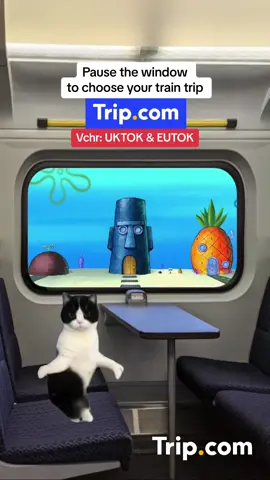 Which destination will you go to?😍🤪#train #traintravel #traveltok #destination 