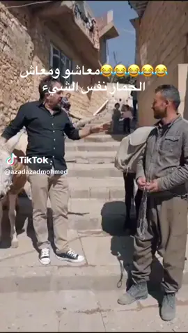 #ملتي_مِڼـّي_حياتي🌚💞🦚 