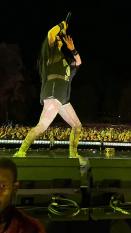 there’s no better feeling than being front row at billie’s concert @BILLIE EILISH #billieeilish #billie #eilish #billieeilishfan #billiefan #billiestan #fyp #foryou #concert #festival #paris #rockenseine #billieeilishlive #badguy 