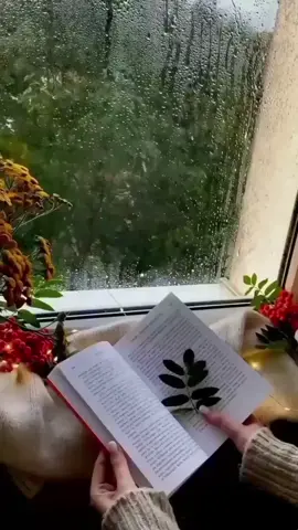 💞ഒരു ജന്മാന്തര വാഗ്ദാനംപോലെ 💞നമ്മുടെ ജീവിതത്തിലേക്കുവന്ന് സ്വപ്നം കാണാൻ  💞പ്രേരിപ്പിക്കുന്ന ചില മനുഷ്യരുണ്ട്. 💞തണലായി കൂടെ നിന്നിട്ട് കണ്മുമ്പിൽ നിന്ന് മറയുന്നവർ... 💞മറവിക്കു വിട്ടുകൊടുക്കാതെ നാമവരെ  💞മനസ്സിൻ്റെ ചെപ്പിൽ സൂക്ഷിച്ചുവയ്ക്കാറില്ലേ...;  💞അടുത്ത ജന്മത്തിലെങ്കിലും 💞കടം വീട്ടാനാകുമെന്ന പ്രതീക്ഷയോടെ...! ശുഭദിനം🌹🌹🌹#goodmorning #malayalamsongs #nahrain #morningvibes #haveaniceday #രാപ്പാടി #രാപ്പാടിതൻ #raappadithan 