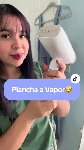 Plancha a vapor🤩#ropa #ropacara #clothing #clothes #planchaprofesional #planchaderopaavapor #planchaderopa #amasdecasa #hogar #Home 