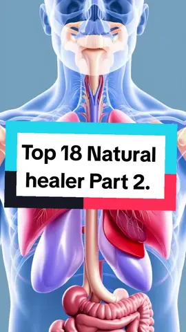 Top 18 Natural healers Part 2. #life #fruit #food #health #fypシ゚viral #frutas #naturalhealing #Fruit #nature 