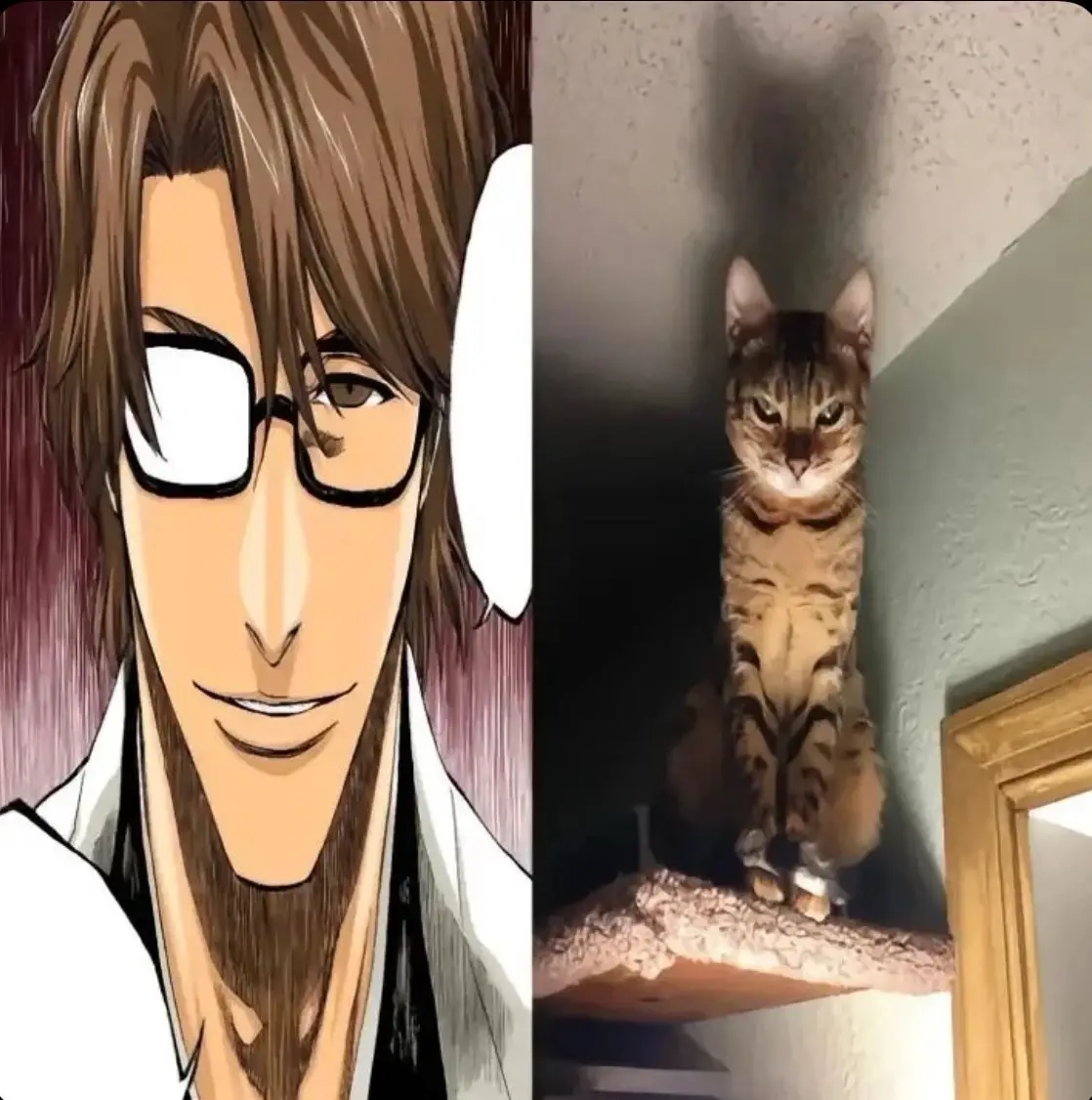 btw credit to @;[⭐]haru i got pics from Instagram i didn’t know it was from him😭#fypage #bleach #bleachanime #bleachmanga #cats #ichigo #ichigokurosaki #uryu #uryuishida #yoruichi #yoruichishihōin #gin #ginichimaru #shinji #shinjihirako #aizen #aizensosuke #animefyp #soulsociety #white #byakuya #byakuyakuchiki #kenpachi #kenpachizaraki 