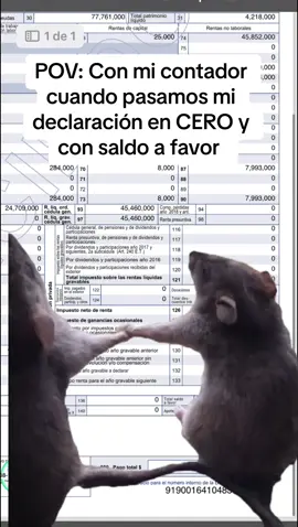 #contador #Dian #declaracionderenta #impuestos #🐀 #paratii 