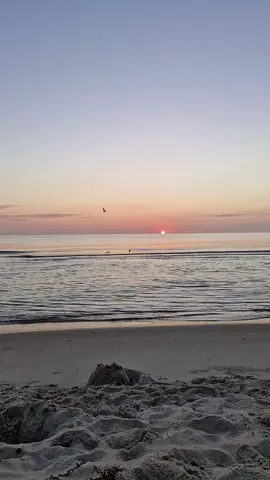 #Rügen #mönchgut #Insel #Ostsee #baltic #balticsea #tiktok #sonnenaufgang #morgens #Morning #lovemycomunity #community #Love #alone #ruhe #silent #girl #sea #Meer #love 