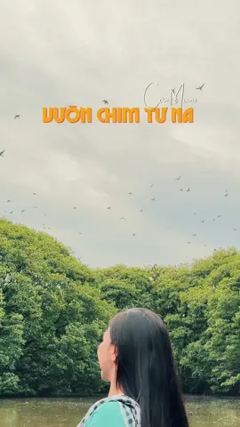 Vườn chim Tư Na Năm Căn #camau #lenhattruongcm 