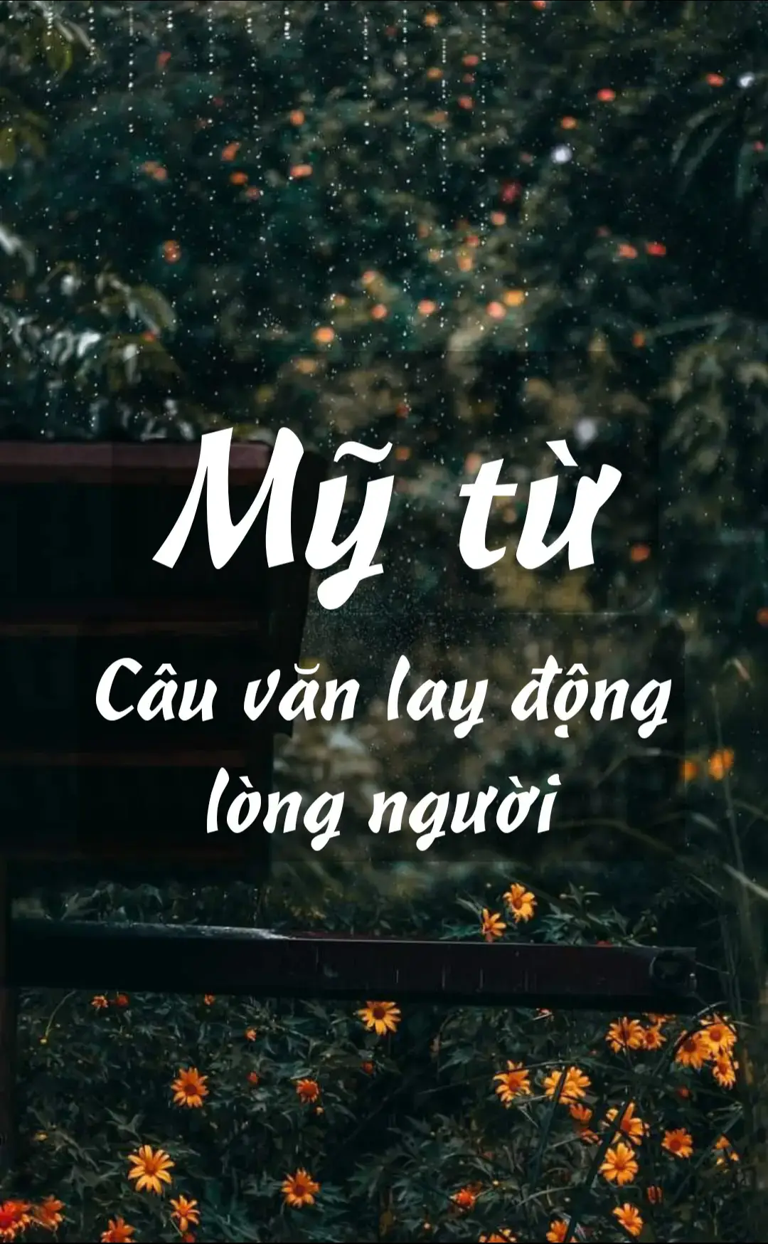 Câu văn lay động lòng người.  #tuha80203002 #ngontu #nghethuat #hocvan #thivi #camxuc #tinhyeu #viral #xuhuong 