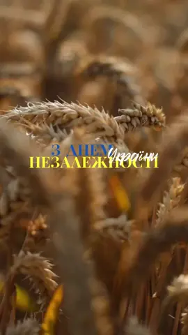 З Днем Незалежності, вільна, незламна, сильна, моя країно!🥰 Любіть Україну, як сонце любіть, як вітер, і трави, і води... В годину щасливу і в радості мить, любіть у годину негоди. Україна - понад усе!🇺🇦 #деньнезалежності #славаукраїні #україна #українапонадусе 