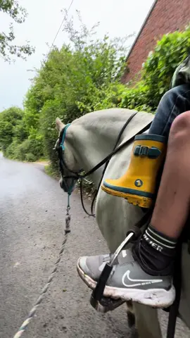 We took all the cousins out on the ponies for a ride around the village today! The drizzle cleared up in the afternoon just in time for a BBQ 😊 happy kids and happy ponies! #poniesoftiktok #horseriding #3yearold #cousins #family #countrlife 