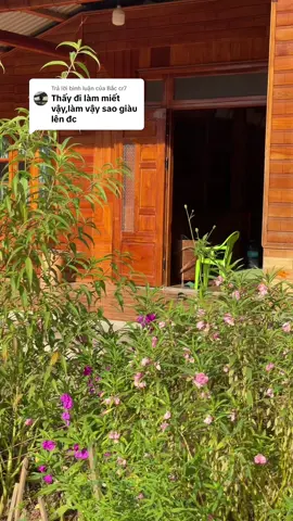 Trả lời @Bắc cr7 nay tui không đi làm nữa tui ở nhà…cần nhờ anh chaii chỉ em cách làm giàu với ạ#fyp #foryou #trending #xuhuong #binhyen 