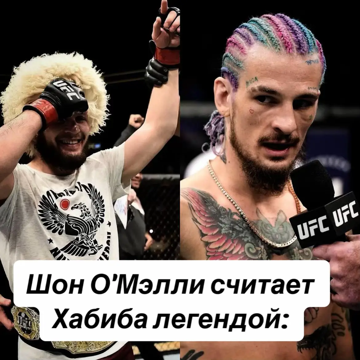 #UFC #new #ufcrussia #edit #habib #on #UFC 