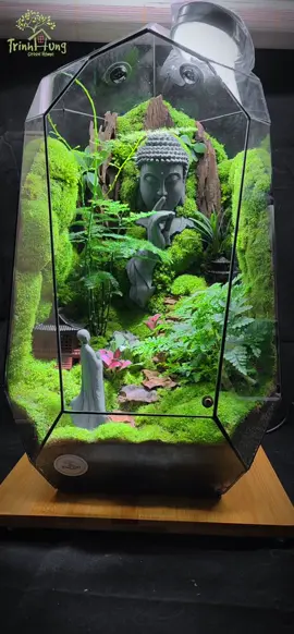 Terrarium 