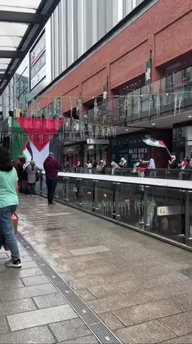 A 🇵🇸 flag is raised in Wembley Designer Outlet to protest against the owners of wembley Park (via @itsfahad_447) #UB1UB2 #London #Wembley 