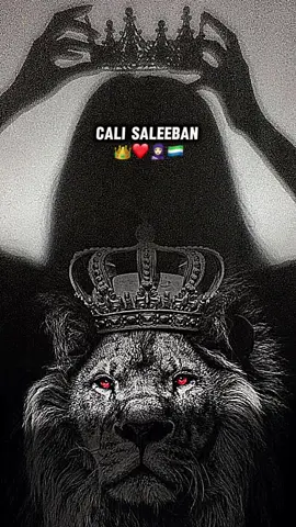 #calisaleebanimo❤️ #bicidyahancali💸💰🦁 #muuminibraahim🥷🏻🔫💸 #heerab #majeertenimo👑🇸🇱🦁 
