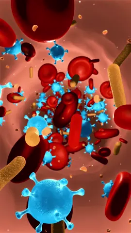 Imunidade Inata x Imunidade Adquirida 🦠💉 #imunologia #biomedicina #tiktokestudos #biologia #estudos📚 #sistemaimune #virus #bacterias #ciencia #medicina 