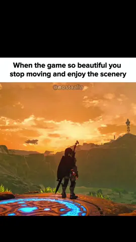 Zelda Breath of the Wild #zelda #tloz #thelegendofzelda #legendofzelda #nintendo #nostalgia #nintendonostalgia #zeldabreathofthewild #breathofthewild #zeldabotw #botw #fyp #fy 
