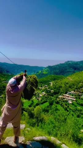 #haripur_hazara_pakistan #beautyofhazara #viralvideo 