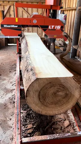 Giant on Woodmizer LT15 🔥 #woodworking #woodworker #woodmizer #woodmizerlt15 #woodmizersawmills #howto #sawmill #maker #strong #selfmade #giant #wood #holz #handwerk 