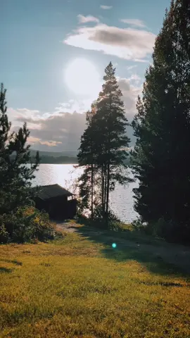 ✨🏠🌲 #cabin #calming #relaxingvideos #cottagecore #norge #norway 