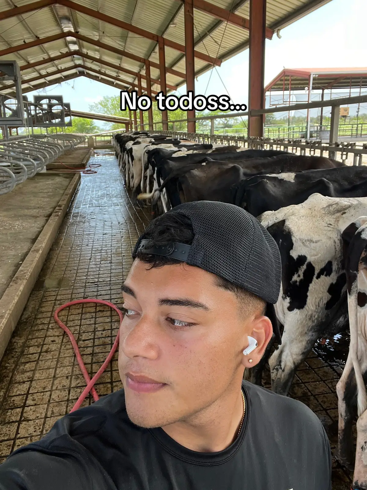 vacas no faltaran🥱 #fypシ゚viral #paratii #puertorico #tiktok #trend #fyppppppppppppppppppppppp #trend 