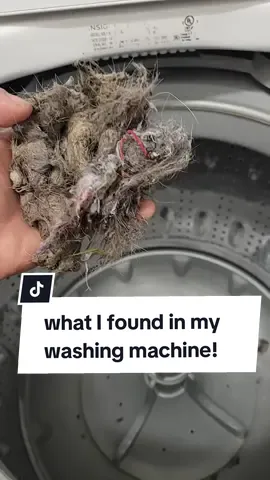 Huge shout out to #CleanTok for showing me where my filter/ lint catch is on my washer!  5 YEARS!  that was so satisfying! #fyp #foryourpage #foryoupage #washingmashine #insignia #dirty #clean #cleaning #washercleaning #yuck #gross #buildup #foryou #fypシ゚viral #f #y #p 