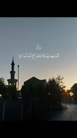 Surah Jinn | Ayah 18 - 22  Reciter - Sheikh Maher Al Muaiqly  #fyp #surah #islamicfyp #quranrecitation #quraan #foryoupageofficiall #surahjinn #jinn #maheralmuaiqly #masjid  #sunset #ayah #listen 