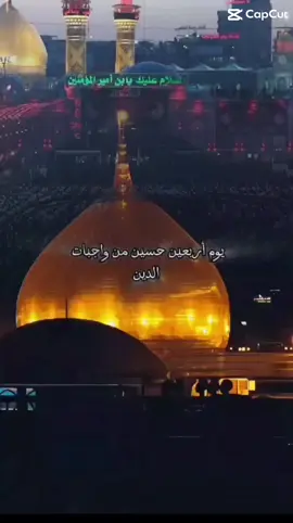 #ياشيعه_من_كل_صوب_لزياره_المسلوب #زيارة_عاشوراء #يوم_اربعين_حسين_من_واجبات_الدين 