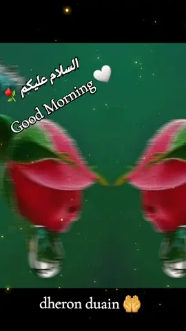 #goodmorning⚘⚘🤍🤍 
