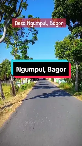 Monggo @munir_alhabsyi  ini desa Ngumpul, maaf pak gak lokasi dusun yg sampean request jadi tak buat aja keliling Ngumpul 😁🙏🙏🙏 📍Ngumpul, Bagor  #nganjuk #nganjukjawatimur #nganjukkotaangin #buambangdolan  #bagornganjuk #fypシ 