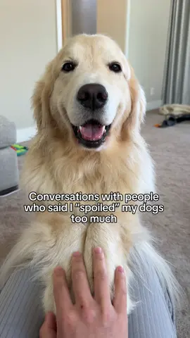 Their life are too short so let them be themsevles. Ib @Abby & Her Dogs 🐶 #goldenretriever #dogpov #souldog #corgi 