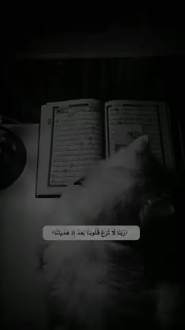 #CapCut #ربنا_لاتزع_قلوبنا_بعد_اذا_هديتنا ❤️🌺#اكسبلورexplore  #foryou #fypシ #fyp 