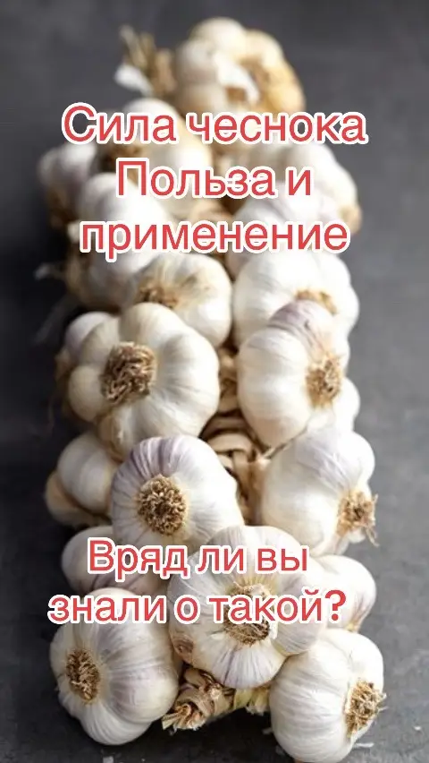 Как правильно использовать сырую дольку чеснока, чтобы получить максимум пользы для здоровья #мудрыеслова #рекомендации #рек #fyp #пофакту #ссср #здоровья 