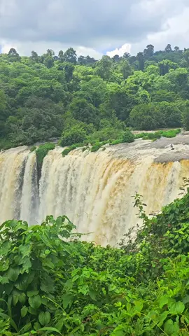 Finca'aa Laga Soor #sorriverwaterfall  #iluuabbaabooraa  #oromotiktok❤️💚❤️ 
