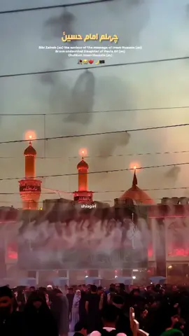 20 Safar Chehulm Imam Hussain as 😭💔 #shiagirl  #imamhussain  #burhantv_100k  #shiastatus  #labaikyahussain  #viewsproblem😭 